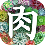 多肉植物 生活 App LOGO-APP開箱王