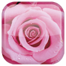 Rose 工具 App LOGO-APP開箱王