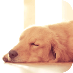 世界名犬大全 書籍 App LOGO-APP開箱王