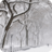 冬季雪的景观唯美桌面壁纸 工具 App LOGO-APP開箱王