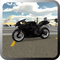 Fast Motorcycle Driver