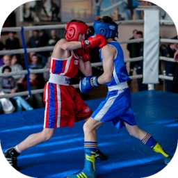 Boxing Match