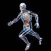 人体解剖智能版 健康 App LOGO-APP開箱王