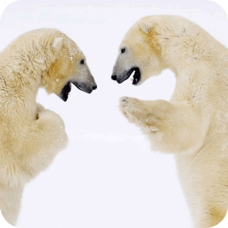 北极熊拼图小游戏 休閒 App LOGO-APP開箱王