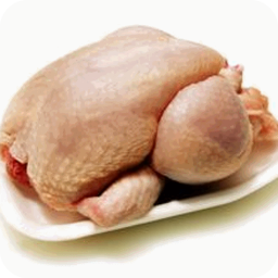 鸡肉的做法大全 生活 App LOGO-APP開箱王