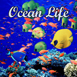 海洋生物动态3D壁纸(Ocean Life) 攝影 App LOGO-APP開箱王