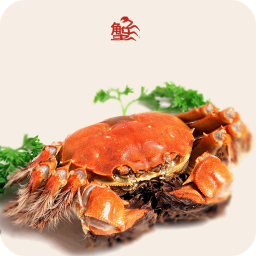 螃蟹的9种不同美味做法 生活 App LOGO-APP開箱王