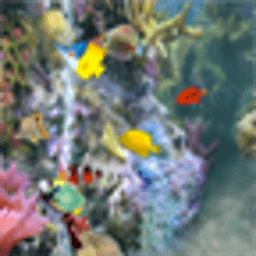 奇幻珊瑚丛动态壁纸 工具 App LOGO-APP開箱王