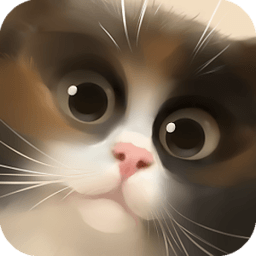 盒子猫动态壁纸 工具 App LOGO-APP開箱王