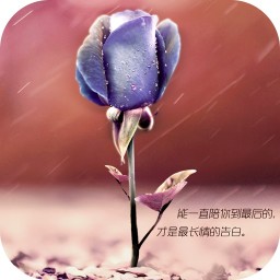 执子手等花开蓝色玫瑰高清省电梦象动态壁纸 工具 App LOGO-APP開箱王