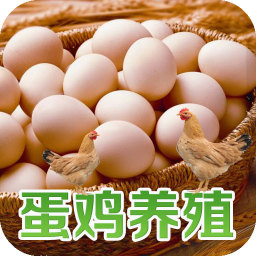 中国蛋鸡养殖平台 生活 App LOGO-APP開箱王