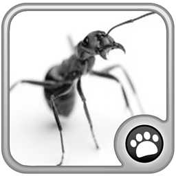 蚂蚁快跑 休閒 App LOGO-APP開箱王