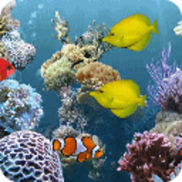 海底世界动态手机壁纸 工具 App LOGO-APP開箱王