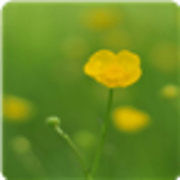 植物小清新HD锁屏 工具 App LOGO-APP開箱王