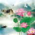 清新荷塘动态壁纸 Lotus Pond II LOGO-APP點子