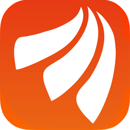 大股东质押股票干什么