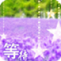 薰衣草等待爱情九宫格锁屏 工具 App LOGO-APP開箱王