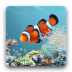 水族馆动态壁纸 aniPet Aquarium Live Wallpaper LOGO-APP點子