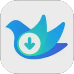 视频下载鸟