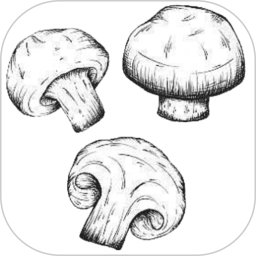 蘑菇识别