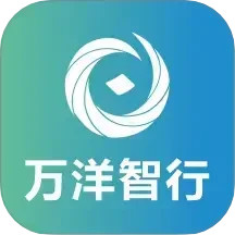 万洋智行