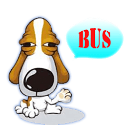 老太带6只狗离家出走 - 搜狗应用搜索