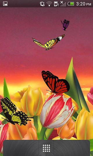 免費下載工具APP|Butterfly Garden 3D Wallpaper app開箱文|APP開箱王