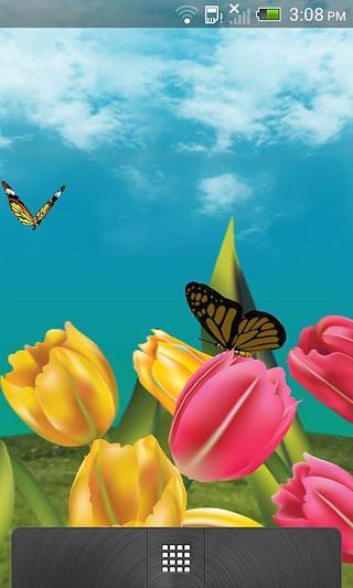 免費下載工具APP|Butterfly Garden 3D Wallpaper app開箱文|APP開箱王