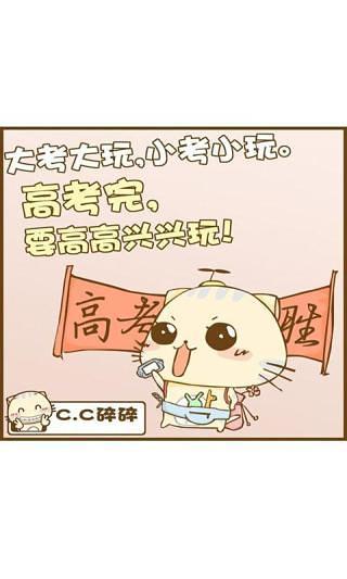 桌面锁屏主题CC猫