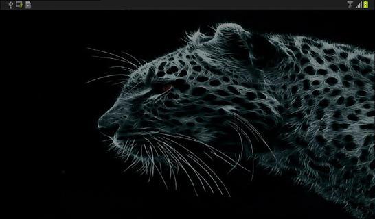 Leopard Live Wallpapers