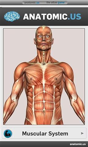 免費下載休閒APP|肌肉解剖游戏精简版 app開箱文|APP開箱王