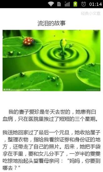 经典小文章