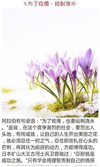 免費下載書籍APP|小故事大道理 app開箱文|APP開箱王