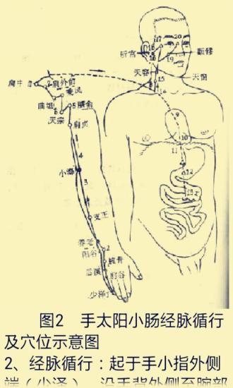 免費下載書籍APP|经络知识大全 app開箱文|APP開箱王