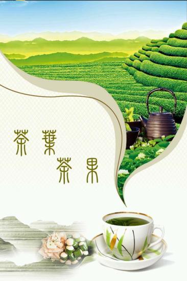 免費下載生活APP|中国茶叶茶果商城 app開箱文|APP開箱王