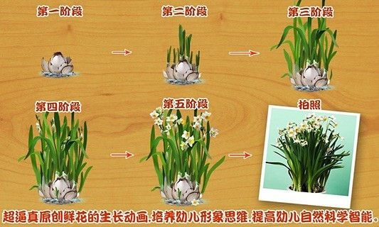 免費下載休閒APP|宝宝种鲜花-傲贝儿童百科 app開箱文|APP開箱王