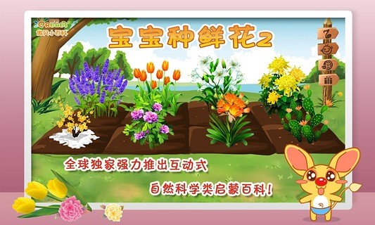 宝宝种鲜花第2季-傲贝儿童百科