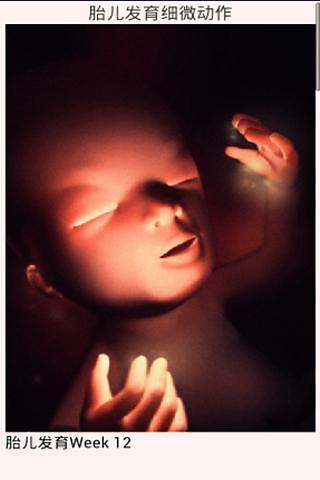 4D人体实拍胎儿发育全程