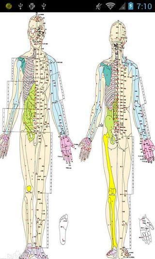 免費下載娛樂APP|全身经络示范图 app開箱文|APP開箱王