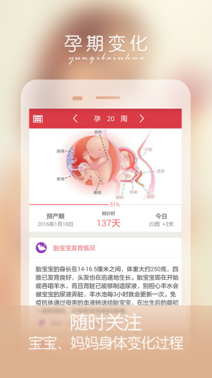 免費下載生活APP|孕妇伴侣 app開箱文|APP開箱王