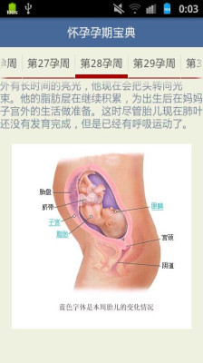 大齡孕媽咪全孕期指導-大齡孕婦-北方網-親子