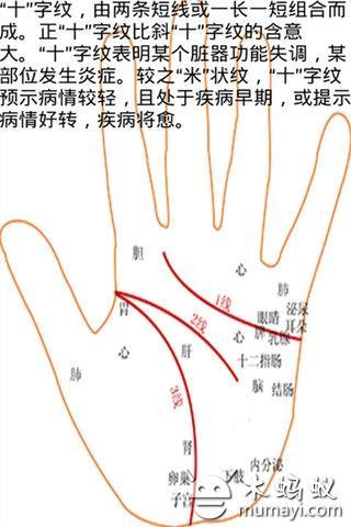 手相定一生