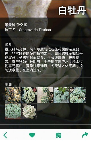 免費下載生活APP|多肉植物 app開箱文|APP開箱王