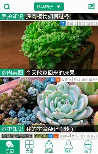 免費下載生活APP|多肉植物 app開箱文|APP開箱王