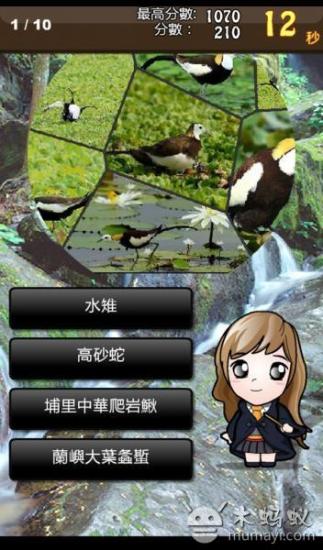 免費下載休閒APP|台湾保育动物猜猜 app開箱文|APP開箱王