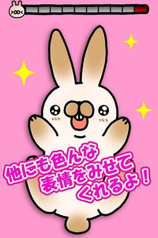 抚摸兔 Tickling rabbit