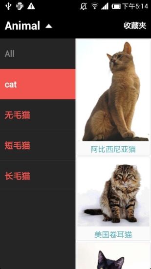 猫狗总动员