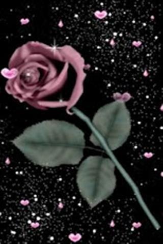 Pink Heart Rose Live Wallpaper