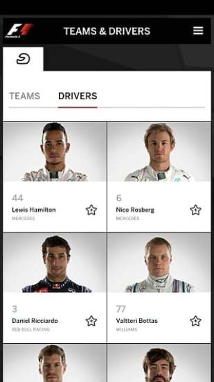 Official F1