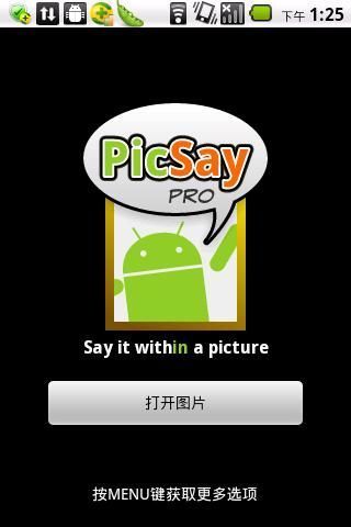 绘图软件 PicSay Pro